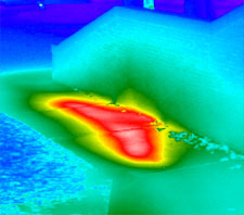 Thermogram